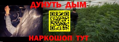 прущие крисы Краснодар
