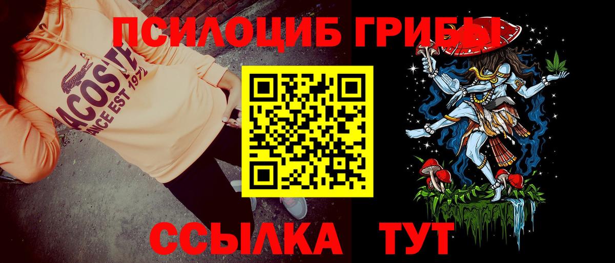 где продают   Вход с VPN  Галлюциногенные грибы ЛСД  Карачаевск  Псилоцибиновые грибы Psilocybine cubensis 